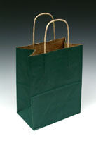 Paper Bags with Handles - Colored